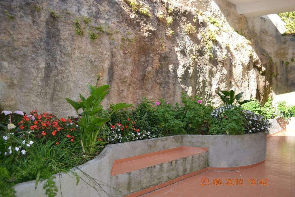Coral Villa Ericeira Zewnętrze zdjęcie